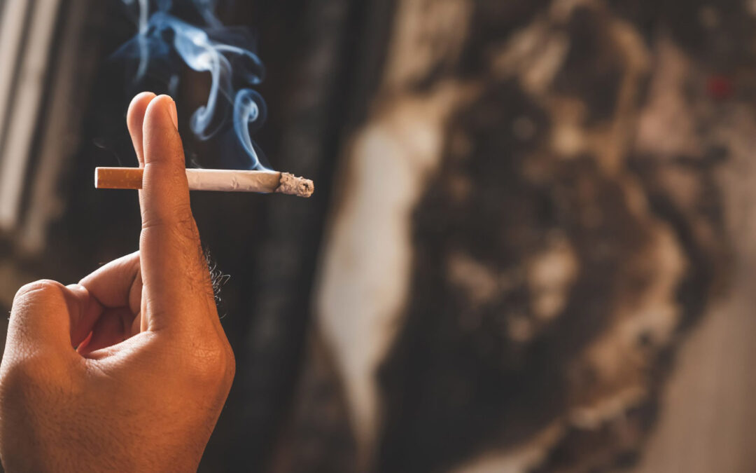 Neutralizador de olores para tabaco en casa, coche y textiles