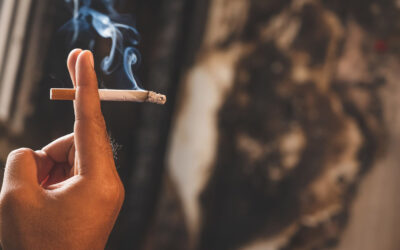 Cรณmo eliminar el olor a tabaco en casa, paso a paso